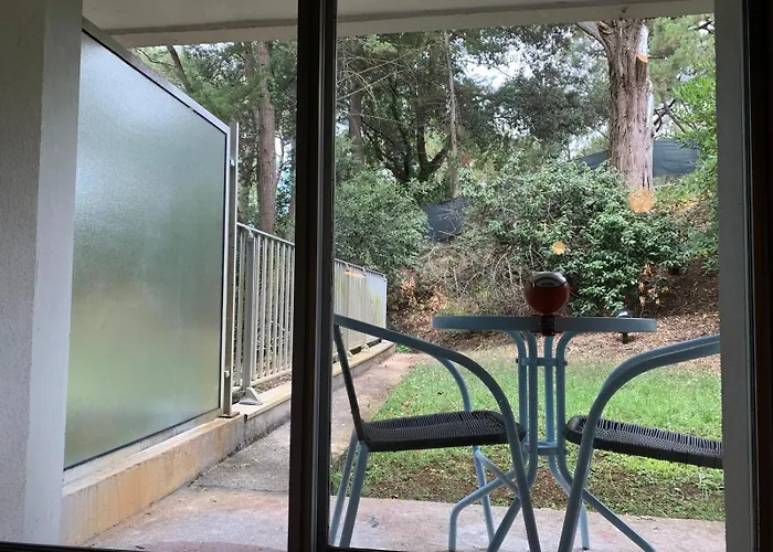 Sublime Avec Acces Direct A La * Arcachon